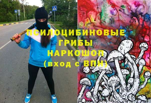 меф Алексин