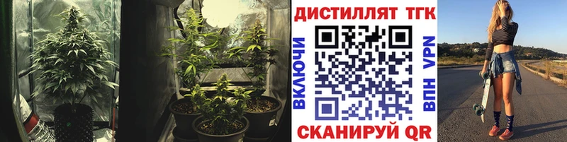 Дистиллят ТГК гашишное масло  закладка  Кимры 